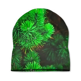 Шапка 3D с принтом Зелёная ель в Тюмени, 100% полиэстер | универсальный размер, печать по всей поверхности изделия | 3d | ёлка | ель | зелёный | лес | новый год | праздник | природа | текстура | фон