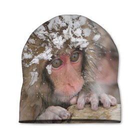Шапка 3D с принтом Обезьянка и зима в Тюмени, 100% полиэстер | универсальный размер, печать по всей поверхности изделия | бабуин | гамадрил | гиббон | горилла | гуманоид | дарвин | животное | зоопарк | кинг конг | мартышка | маугли | обезьяна | орангутанг | предок | примат | рожа | хомо сапиенс | шимпанзе