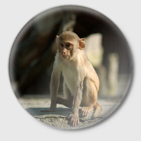 Значок с принтом Мартышка в Тюмени,  металл | круглая форма, металлическая застежка в виде булавки | животное | мартышка | обезьяна | примат