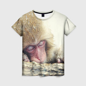 Женская футболка 3D с принтом Обезьянка спит в Тюмени, 100% полиэфир ( синтетическое хлопкоподобное полотно) | прямой крой, круглый вырез горловины, длина до линии бедер | бабуин | животное | обезьяна | орангутанг | примат