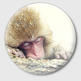 Значок с принтом Обезьянка спит в Тюмени,  металл | круглая форма, металлическая застежка в виде булавки | Тематика изображения на принте: бабуин | животное | обезьяна | орангутанг | примат