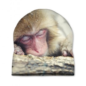 Шапка 3D с принтом Обезьянка спит в Тюмени, 100% полиэстер | универсальный размер, печать по всей поверхности изделия | бабуин | животное | обезьяна | орангутанг | примат