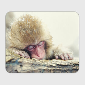 Коврик прямоугольный с принтом Обезьянка спит в Тюмени, натуральный каучук | размер 230 х 185 мм; запечатка лицевой стороны | Тематика изображения на принте: бабуин | животное | обезьяна | орангутанг | примат