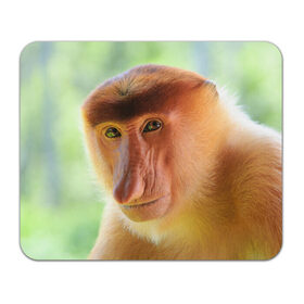Коврик прямоугольный с принтом Рыжая обезьяна в Тюмени, натуральный каучук | размер 230 х 185 мм; запечатка лицевой стороны | 