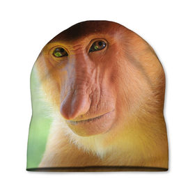 Шапка 3D с принтом Рыжая обезьяна в Тюмени, 100% полиэстер | универсальный размер, печать по всей поверхности изделия | 