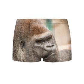 Мужские трусы 3D с принтом Обезьяна в Тюмени, 50% хлопок, 50% полиэстер | классическая посадка, на поясе мягкая тканевая резинка | горилла | животное | обезьяна | примат