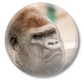 Значок с принтом Обезьяна в Тюмени,  металл | круглая форма, металлическая застежка в виде булавки | горилла | животное | обезьяна | примат