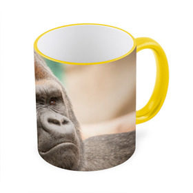 Кружка 3D с принтом Обезьяна в Тюмени, керамика | ёмкость 330 мл | горилла | животное | обезьяна | примат