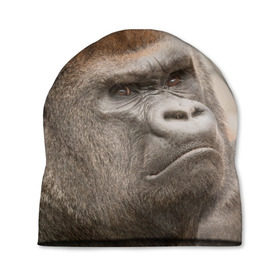 Шапка 3D с принтом Обезьяна в Тюмени, 100% полиэстер | универсальный размер, печать по всей поверхности изделия | горилла | животное | обезьяна | примат