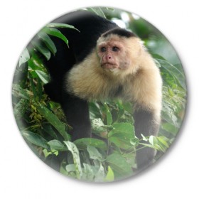 Значок с принтом Обезьянка в джунглях в Тюмени,  металл | круглая форма, металлическая застежка в виде булавки | бабуин | гамадрил | гиббон | горилла | гуманоид | дарвин | животное | зоопарк | кинг конг | мартышка | маугли | обезьяна | орангутанг | предок | примат | рожа | хомо сапиенс | шимпанзе