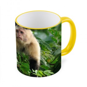 Кружка 3D с принтом Обезьянка в джунглях в Тюмени, керамика | ёмкость 330 мл | Тематика изображения на принте: бабуин | гамадрил | гиббон | горилла | гуманоид | дарвин | животное | зоопарк | кинг конг | мартышка | маугли | обезьяна | орангутанг | предок | примат | рожа | хомо сапиенс | шимпанзе