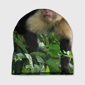 Шапка 3D с принтом Обезьянка в джунглях в Тюмени, 100% полиэстер | универсальный размер, печать по всей поверхности изделия | бабуин | гамадрил | гиббон | горилла | гуманоид | дарвин | животное | зоопарк | кинг конг | мартышка | маугли | обезьяна | орангутанг | предок | примат | рожа | хомо сапиенс | шимпанзе