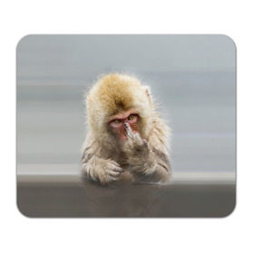 Коврик прямоугольный с принтом Японская макака в Тюмени, натуральный каучук | размер 230 х 185 мм; запечатка лицевой стороны | макак | мартышка | обезьяна | палец | япония