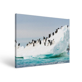Холст прямоугольный с принтом Пингвины на айсберге в Тюмени, 100% ПВХ |  | айсберг | антарктида | антарктика | арктика | буревестник | глупый | императорский | клюв | королевский | крылья | ласты | лёд | линукс | океан | пилигрим | полюс | птица | север | снег | умка | фрак