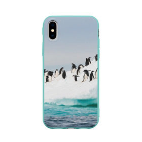 Чехол для Apple iPhone X силиконовый матовый с принтом Пингвины на айсберге в Тюмени, Силикон | Печать на задней стороне чехла, без боковой панели | айсберг | антарктида | антарктика | арктика | буревестник | глупый | императорский | клюв | королевский | крылья | ласты | лёд | линукс | океан | пилигрим | полюс | птица | север | снег | умка | фрак