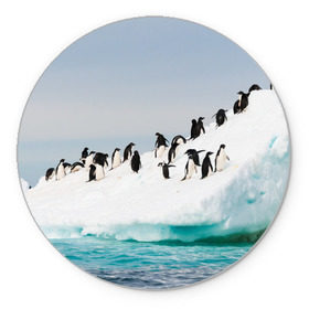 Коврик круглый с принтом Пингвины на айсберге в Тюмени, резина и полиэстер | круглая форма, изображение наносится на всю лицевую часть | айсберг | антарктида | антарктика | арктика | буревестник | глупый | императорский | клюв | королевский | крылья | ласты | лёд | линукс | океан | пилигрим | полюс | птица | север | снег | умка | фрак