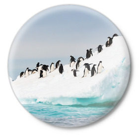Значок с принтом Пингвины на айсберге в Тюмени,  металл | круглая форма, металлическая застежка в виде булавки | айсберг | антарктида | антарктика | арктика | буревестник | глупый | императорский | клюв | королевский | крылья | ласты | лёд | линукс | океан | пилигрим | полюс | птица | север | снег | умка | фрак