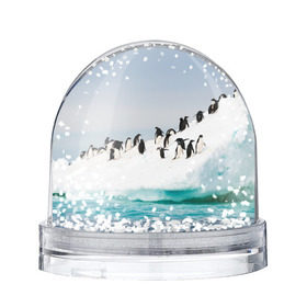 Снежный шар с принтом Пингвины на айсберге в Тюмени, Пластик | Изображение внутри шара печатается на глянцевой фотобумаге с двух сторон | айсберг | антарктида | антарктика | арктика | буревестник | глупый | императорский | клюв | королевский | крылья | ласты | лёд | линукс | океан | пилигрим | полюс | птица | север | снег | умка | фрак