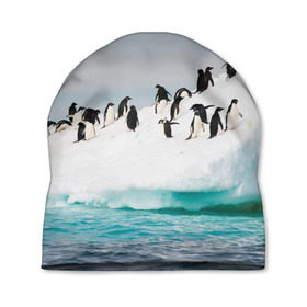 Шапка 3D с принтом Пингвины на айсберге в Тюмени, 100% полиэстер | универсальный размер, печать по всей поверхности изделия | айсберг | антарктида | антарктика | арктика | буревестник | глупый | императорский | клюв | королевский | крылья | ласты | лёд | линукс | океан | пилигрим | полюс | птица | север | снег | умка | фрак