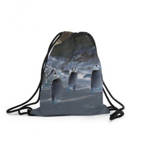 Рюкзак-мешок 3D с принтом Ночные пингвины в горах в Тюмени, 100% полиэстер | плотность ткани — 200 г/м2, размер — 35 х 45 см; лямки — толстые шнурки, застежка на шнуровке, без карманов и подкладки | 