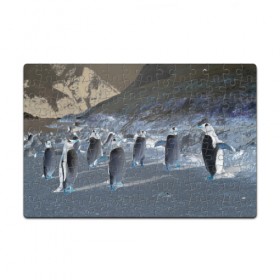 Пазл магнитный 126 элементов с принтом Ночные пингвины в горах в Тюмени, полимерный материал с магнитным слоем | 126 деталей, размер изделия —  180*270 мм | 