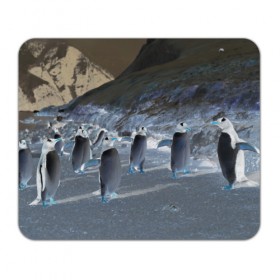 Коврик прямоугольный с принтом Ночные пингвины в горах в Тюмени, натуральный каучук | размер 230 х 185 мм; запечатка лицевой стороны | 