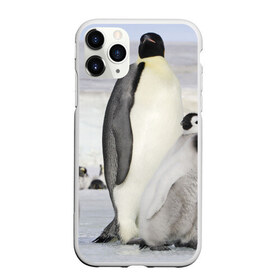 Чехол для iPhone 11 Pro матовый с принтом Пингвин и пингвинята в Тюмени, Силикон |  | айсберг | антарктида | антарктика | арктика | буревестник | глупый | императорский | клюв | королевский | крылья | ласты | лёд | линукс | океан | пилигрим | полюс | птица | север | снег | умка | фрак