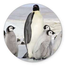 Коврик круглый с принтом Пингвин и пингвинята в Тюмени, резина и полиэстер | круглая форма, изображение наносится на всю лицевую часть | айсберг | антарктида | антарктика | арктика | буревестник | глупый | императорский | клюв | королевский | крылья | ласты | лёд | линукс | океан | пилигрим | полюс | птица | север | снег | умка | фрак