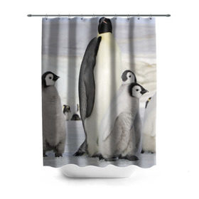 Штора 3D для ванной с принтом Пингвин и пингвинята в Тюмени, 100% полиэстер | плотность материала — 100 г/м2. Стандартный размер — 146 см х 180 см. По верхнему краю — пластиковые люверсы для креплений. В комплекте 10 пластиковых колец | айсберг | антарктида | антарктика | арктика | буревестник | глупый | императорский | клюв | королевский | крылья | ласты | лёд | линукс | океан | пилигрим | полюс | птица | север | снег | умка | фрак