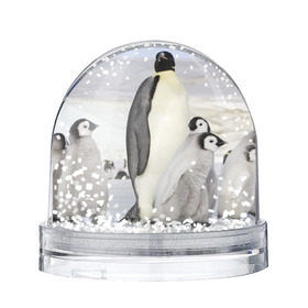 Снежный шар с принтом Пингвин и пингвинята в Тюмени, Пластик | Изображение внутри шара печатается на глянцевой фотобумаге с двух сторон | айсберг | антарктида | антарктика | арктика | буревестник | глупый | императорский | клюв | королевский | крылья | ласты | лёд | линукс | океан | пилигрим | полюс | птица | север | снег | умка | фрак
