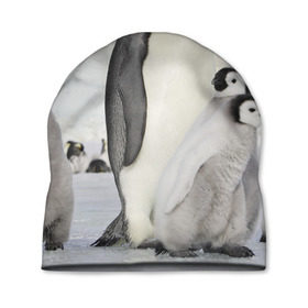 Шапка 3D с принтом Пингвин и пингвинята в Тюмени, 100% полиэстер | универсальный размер, печать по всей поверхности изделия | айсберг | антарктида | антарктика | арктика | буревестник | глупый | императорский | клюв | королевский | крылья | ласты | лёд | линукс | океан | пилигрим | полюс | птица | север | снег | умка | фрак