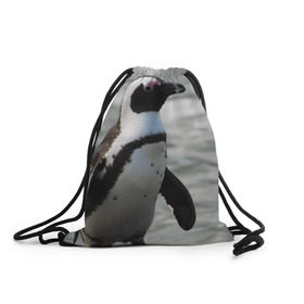 Рюкзак-мешок 3D с принтом Пингвин в Тюмени, 100% полиэстер | плотность ткани — 200 г/м2, размер — 35 х 45 см; лямки — толстые шнурки, застежка на шнуровке, без карманов и подкладки | 