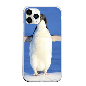 Чехол для iPhone 11 Pro Max матовый с принтом Пингвин в Тюмени, Силикон |  | айсберг | антарктида | антарктика | арктика | буревестник | глупый | императорский | клюв | королевский | крылья | ласты | лёд | линукс | океан | пилигрим | полюс | птица | север | снег | умка | фрак