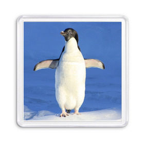 Магнит 55*55 с принтом Пингвин в Тюмени, Пластик | Размер: 65*65 мм; Размер печати: 55*55 мм | айсберг | антарктида | антарктика | арктика | буревестник | глупый | императорский | клюв | королевский | крылья | ласты | лёд | линукс | океан | пилигрим | полюс | птица | север | снег | умка | фрак