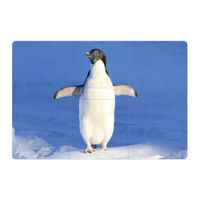Магнитный плакат 3Х2 с принтом Пингвин в Тюмени, Полимерный материал с магнитным слоем | 6 деталей размером 9*9 см | айсберг | антарктида | антарктика | арктика | буревестник | глупый | императорский | клюв | королевский | крылья | ласты | лёд | линукс | океан | пилигрим | полюс | птица | север | снег | умка | фрак