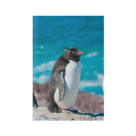 Обложка для паспорта матовая кожа с принтом Пингвин в Тюмени, натуральная матовая кожа | размер 19,3 х 13,7 см; прозрачные пластиковые крепления | Тематика изображения на принте: айсберг | антарктида | антарктика | арктика | буревестник | глупый | императорский | клюв | королевский | крылья | ласты | лёд | линукс | океан | пилигрим | полюс | птица | север | снег | умка | фрак