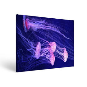Холст прямоугольный с принтом Розовые медузы в Тюмени, 100% ПВХ |  | Тематика изображения на принте: аквариум | вода | дайвинг | милые | море | океан | плывет | подводный мир | рыбалка | рыбка | рыбы | стая | фауна