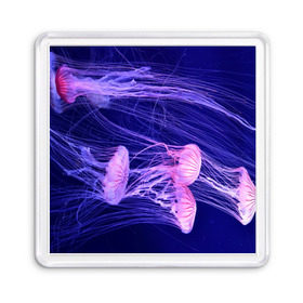 Магнит 55*55 с принтом Розовые медузы в Тюмени, Пластик | Размер: 65*65 мм; Размер печати: 55*55 мм | Тематика изображения на принте: аквариум | вода | дайвинг | милые | море | океан | плывет | подводный мир | рыбалка | рыбка | рыбы | стая | фауна