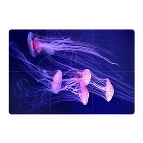 Магнитный плакат 3Х2 с принтом Розовые медузы в Тюмени, Полимерный материал с магнитным слоем | 6 деталей размером 9*9 см | Тематика изображения на принте: аквариум | вода | дайвинг | милые | море | океан | плывет | подводный мир | рыбалка | рыбка | рыбы | стая | фауна