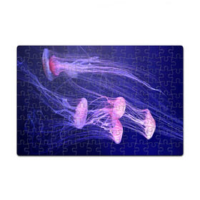 Пазл магнитный 126 элементов с принтом Розовые медузы в Тюмени, полимерный материал с магнитным слоем | 126 деталей, размер изделия —  180*270 мм | аквариум | вода | дайвинг | милые | море | океан | плывет | подводный мир | рыбалка | рыбка | рыбы | стая | фауна
