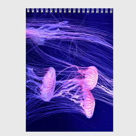 Скетчбук с принтом Розовые медузы в Тюмени, 100% бумага
 | 48 листов, плотность листов — 100 г/м2, плотность картонной обложки — 250 г/м2. Листы скреплены сверху удобной пружинной спиралью | аквариум | вода | дайвинг | милые | море | океан | плывет | подводный мир | рыбалка | рыбка | рыбы | стая | фауна
