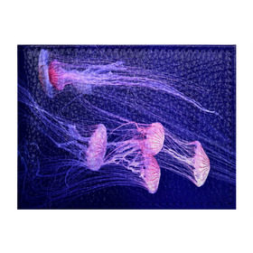 Обложка для студенческого билета с принтом Розовые медузы в Тюмени, натуральная кожа | Размер: 11*8 см; Печать на всей внешней стороне | аквариум | вода | дайвинг | милые | море | океан | плывет | подводный мир | рыбалка | рыбка | рыбы | стая | фауна