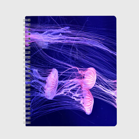 Тетрадь с принтом Розовые медузы в Тюмени, 100% бумага | 48 листов, плотность листов — 60 г/м2, плотность картонной обложки — 250 г/м2. Листы скреплены сбоку удобной пружинной спиралью. Уголки страниц и обложки скругленные. Цвет линий — светло-серый
 | аквариум | вода | дайвинг | милые | море | океан | плывет | подводный мир | рыбалка | рыбка | рыбы | стая | фауна