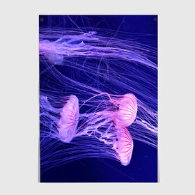 Постер с принтом Розовые медузы в Тюмени, 100% бумага
 | бумага, плотность 150 мг. Матовая, но за счет высокого коэффициента гладкости имеет небольшой блеск и дает на свету блики, но в отличии от глянцевой бумаги не покрыта лаком | аквариум | вода | дайвинг | милые | море | океан | плывет | подводный мир | рыбалка | рыбка | рыбы | стая | фауна