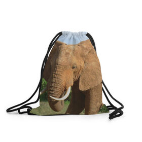 Рюкзак-мешок 3D с принтом Слон в Тюмени, 100% полиэстер | плотность ткани — 200 г/м2, размер — 35 х 45 см; лямки — толстые шнурки, застежка на шнуровке, без карманов и подкладки | 