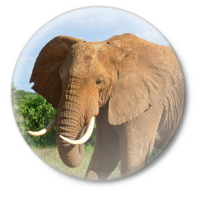 Значок с принтом Слон в Тюмени,  металл | круглая форма, металлическая застежка в виде булавки | 