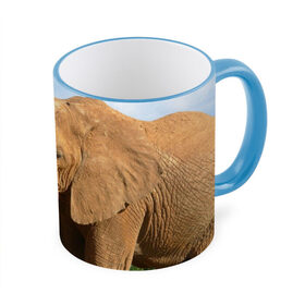 Кружка 3D с принтом Слон в Тюмени, керамика | ёмкость 330 мл | 