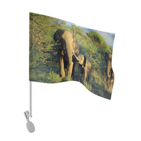 Флаг для автомобиля с принтом Слониха и слоненок в природе в Тюмени, 100% полиэстер | Размер: 30*21 см | африка | африканский | бивни | большой | гигант джунгли | зоопарк | индийский | индия | лесной великан | мамонт | огромный | саванна | сафари | серый | слон | слоненок | слониха | стадо | уши | хобот