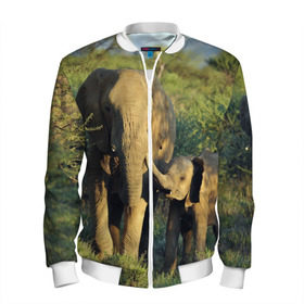 Мужской бомбер 3D с принтом Слониха и слоненок в природе в Тюмени, 100% полиэстер | застегивается на молнию, по бокам два кармана без застежек, по низу бомбера и на воротнике - эластичная резинка | африка | африканский | бивни | большой | гигант джунгли | зоопарк | индийский | индия | лесной великан | мамонт | огромный | саванна | сафари | серый | слон | слоненок | слониха | стадо | уши | хобот
