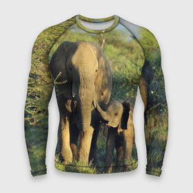 Мужской рашгард 3D с принтом Слониха и слоненок в природе в Тюмени,  |  | африка | африканский | бивни | большой | гигант джунгли | зоопарк | индийский | индия | лесной великан | мамонт | огромный | саванна | сафари | серый | слон | слоненок | слониха | стадо | уши | хобот